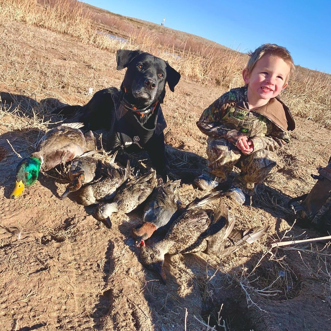 Kid and hunting dog with ducks