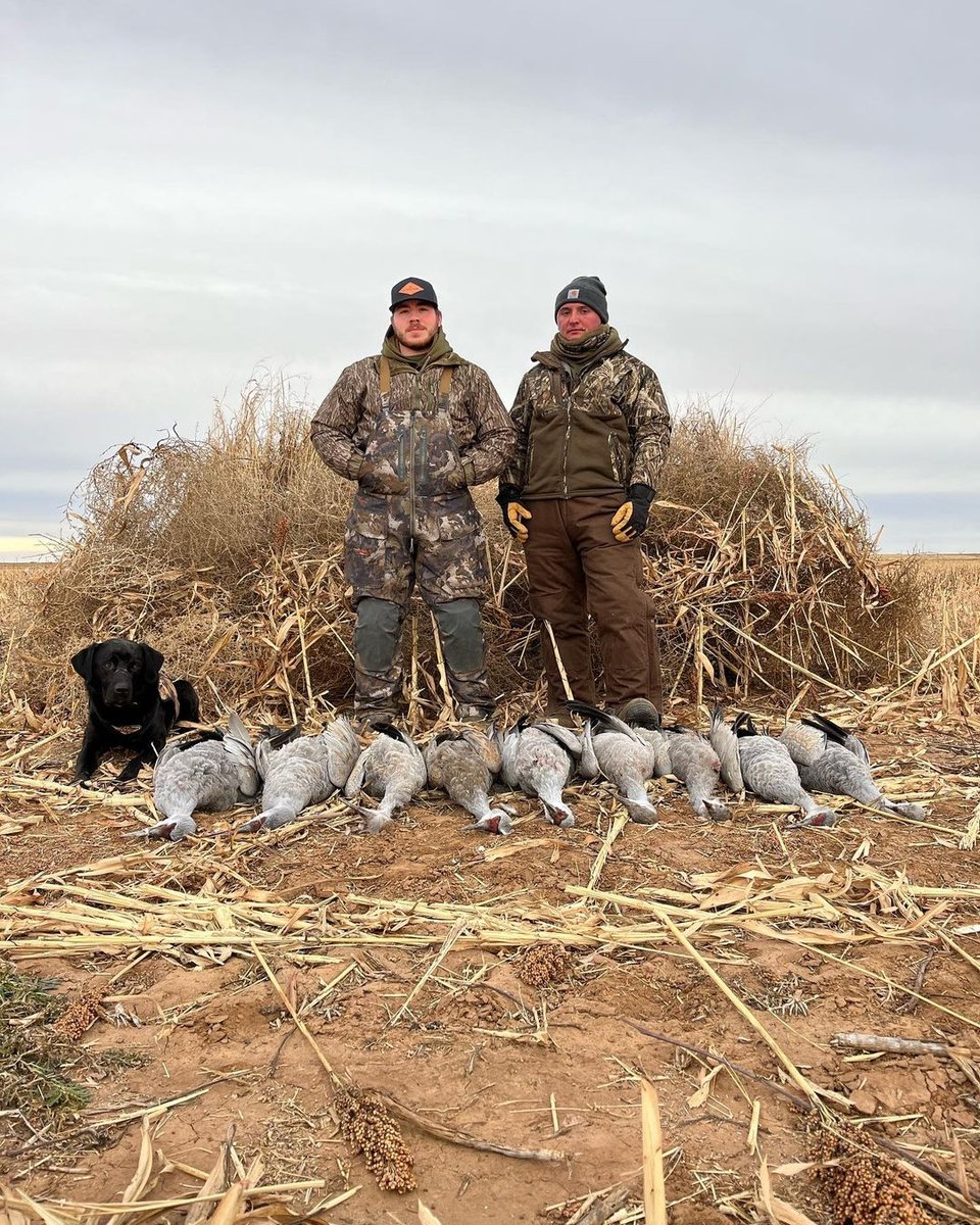 Two men with their hunting dog and hunted cranes