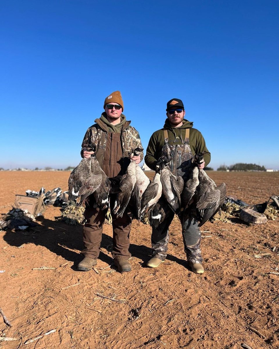 Two men hunters holding hunted geese