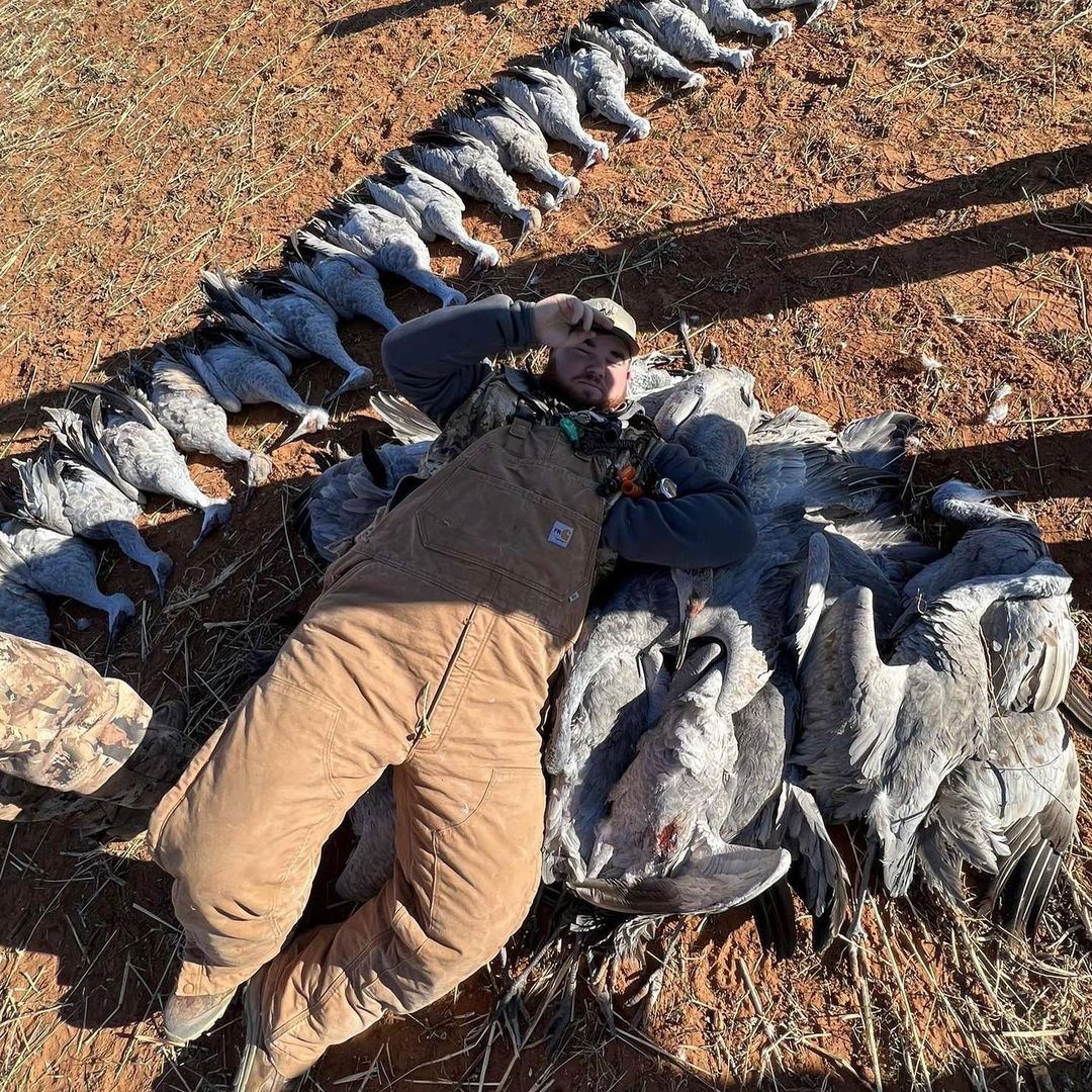 Hunter laying on ground with deceased cranes