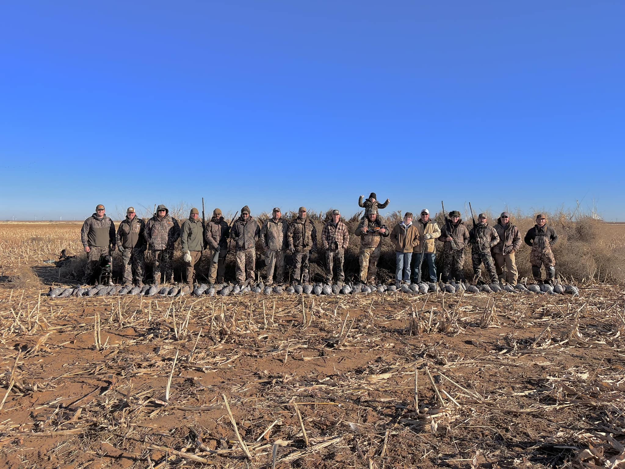 Hunters lined up with cranes