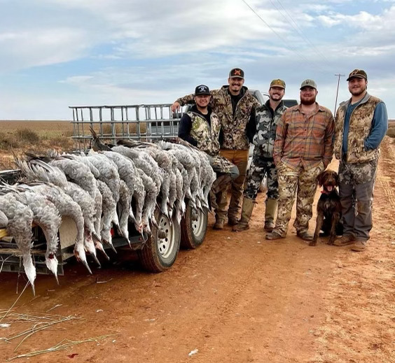 Group of hunters in Lubbock, TX with hunting dog and deceased sandhill cranes
