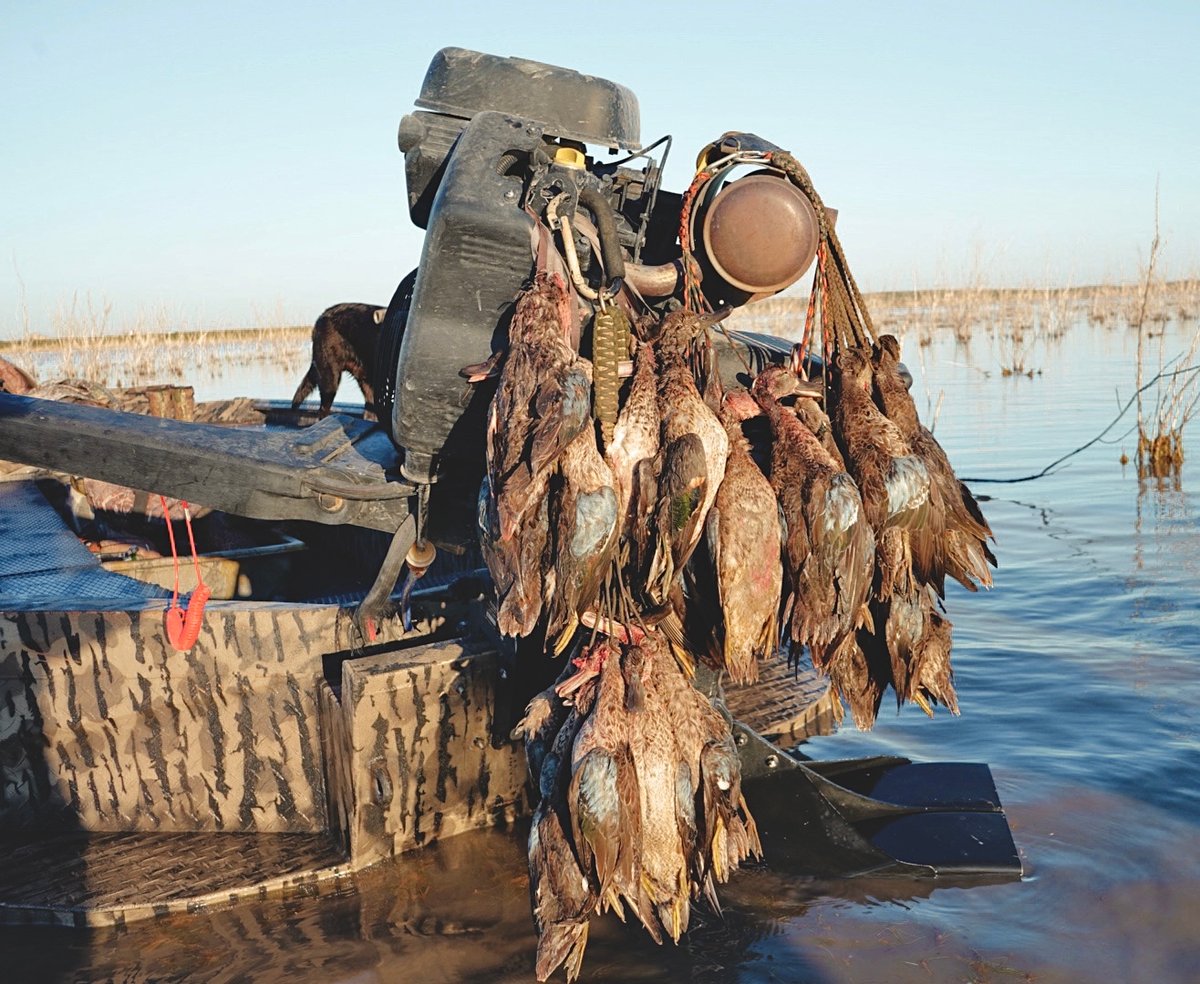 Deceased ducks hanging off of boat after being hunted