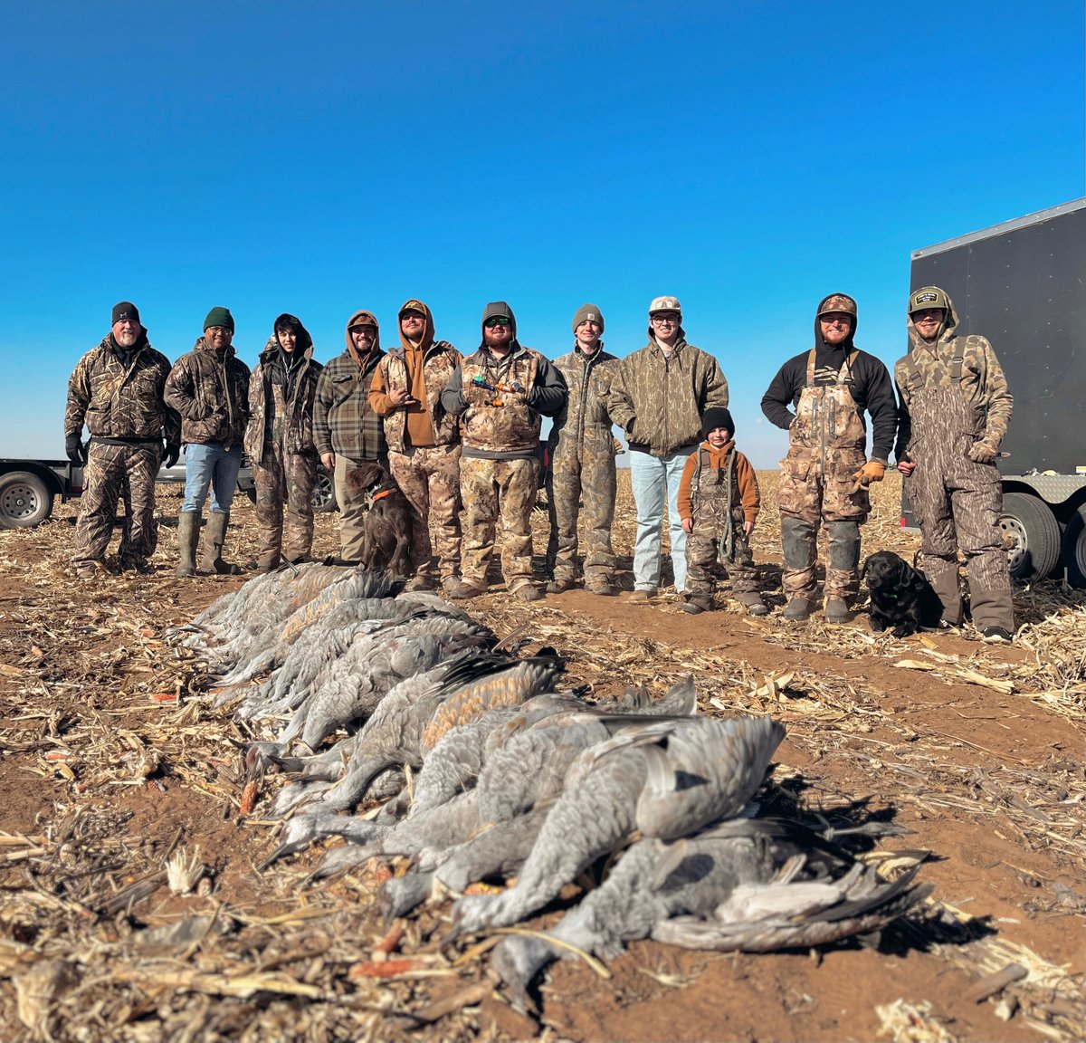 Group of hunters with deceased sandhill cranes in Lubbock, TX