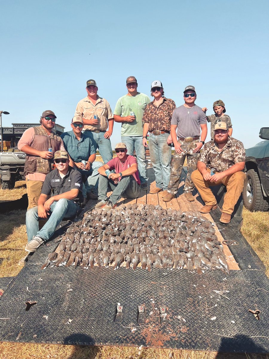 Group of hunters with deceased doves on trailer